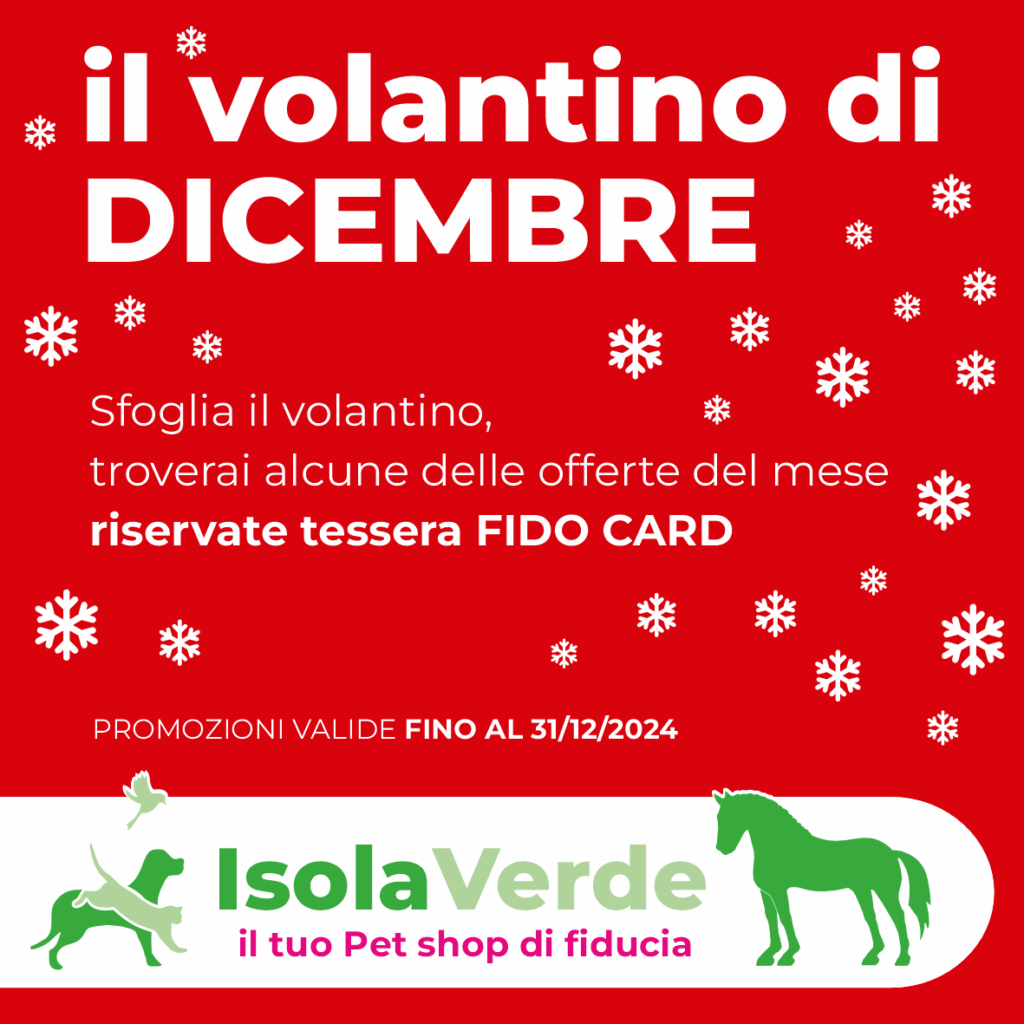 VOLANTINO DICEMBRE_1