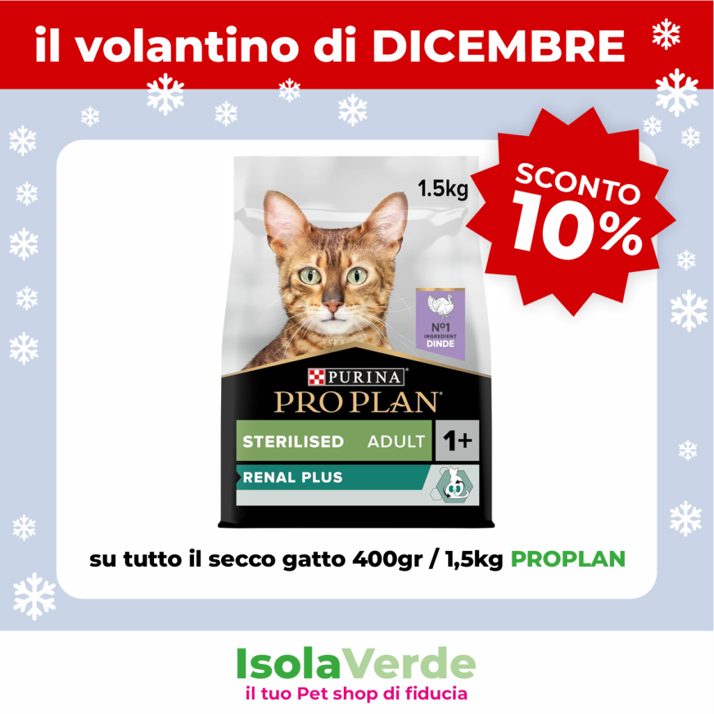 VOLANTINO DICEMBRE_10