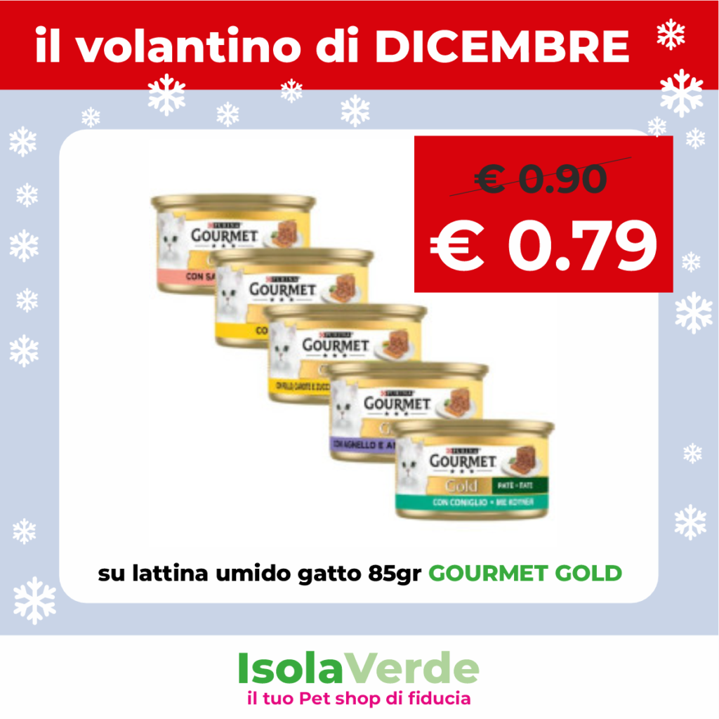 VOLANTINO DICEMBRE_11