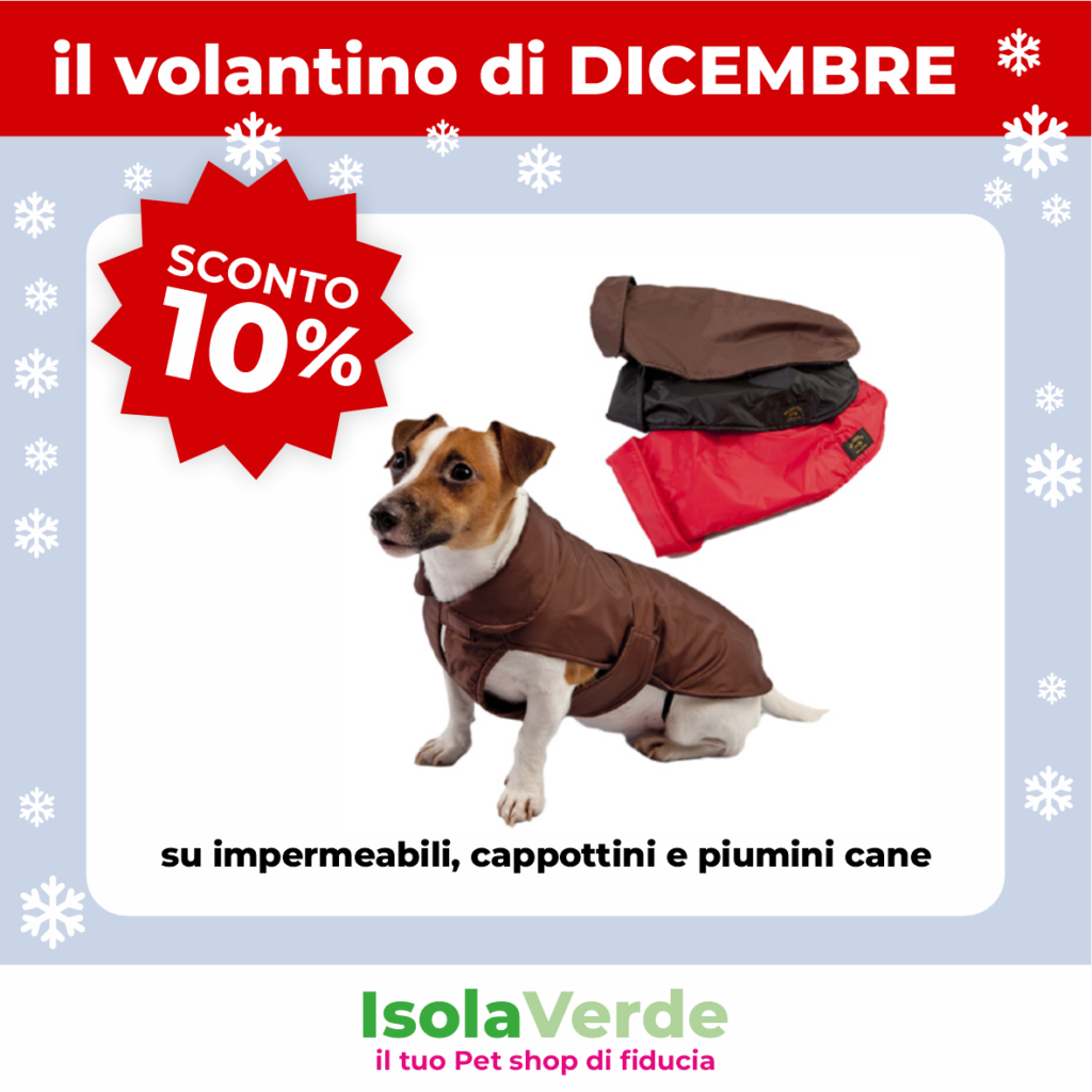 VOLANTINO DICEMBRE_12