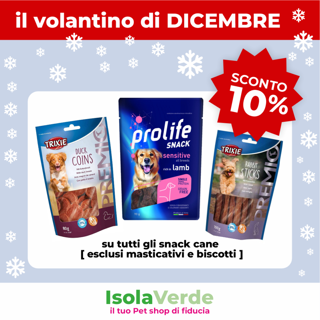 VOLANTINO DICEMBRE_14