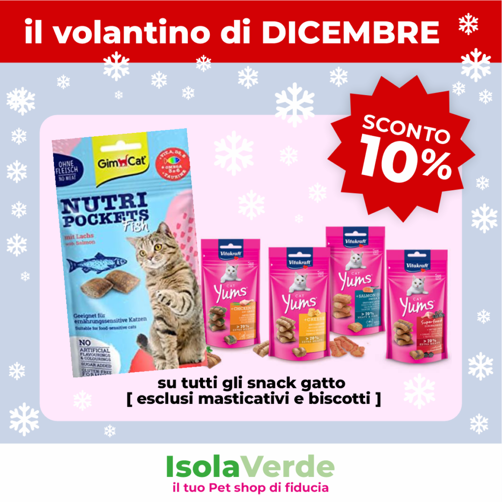 VOLANTINO DICEMBRE_15