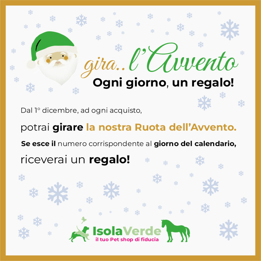 VOLANTINO DICEMBRE_3