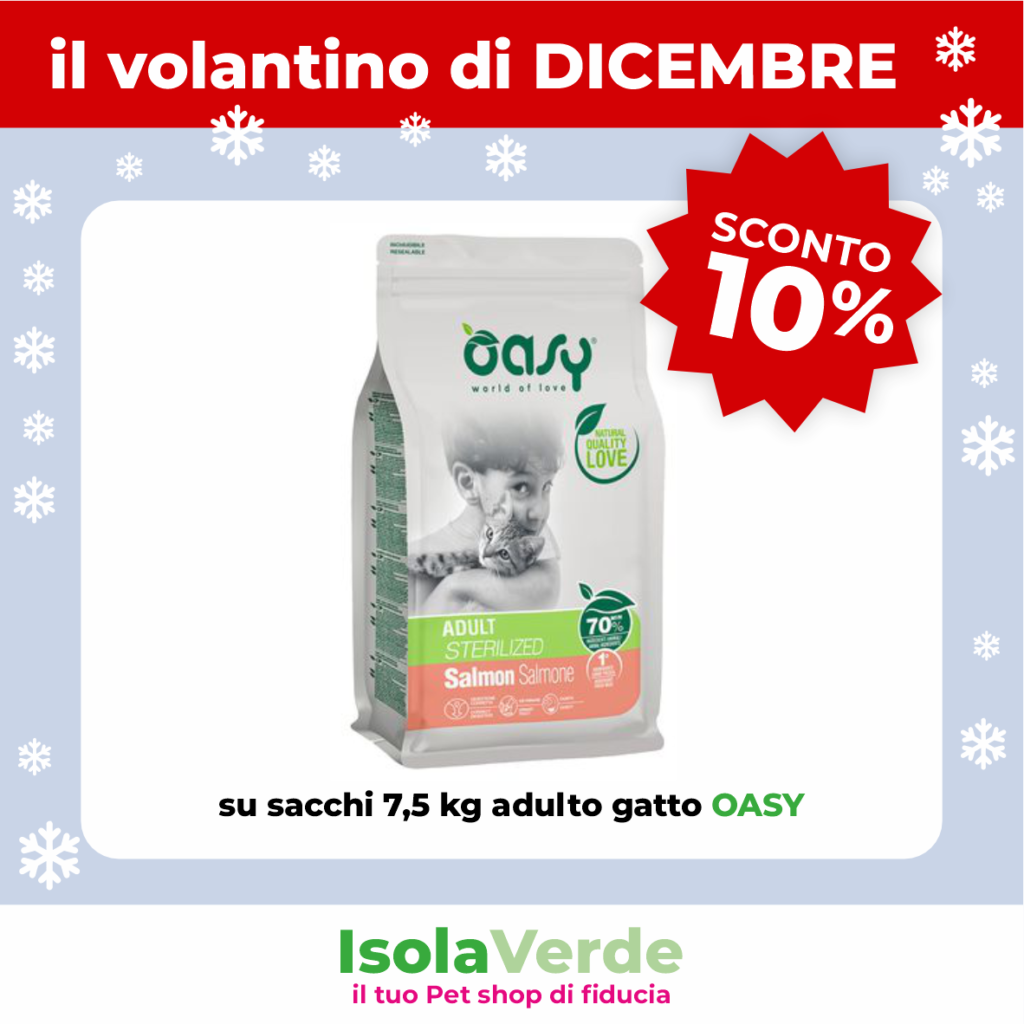 VOLANTINO DICEMBRE_4