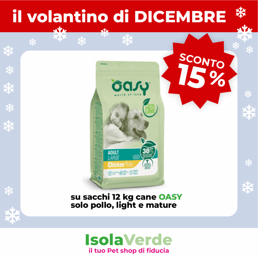 VOLANTINO DICEMBRE_5