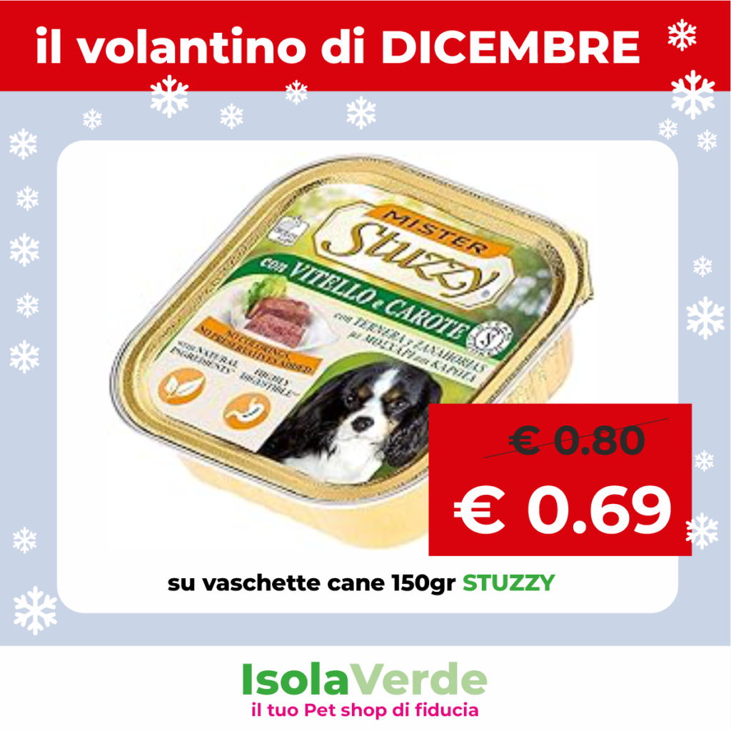 VOLANTINO DICEMBRE_6