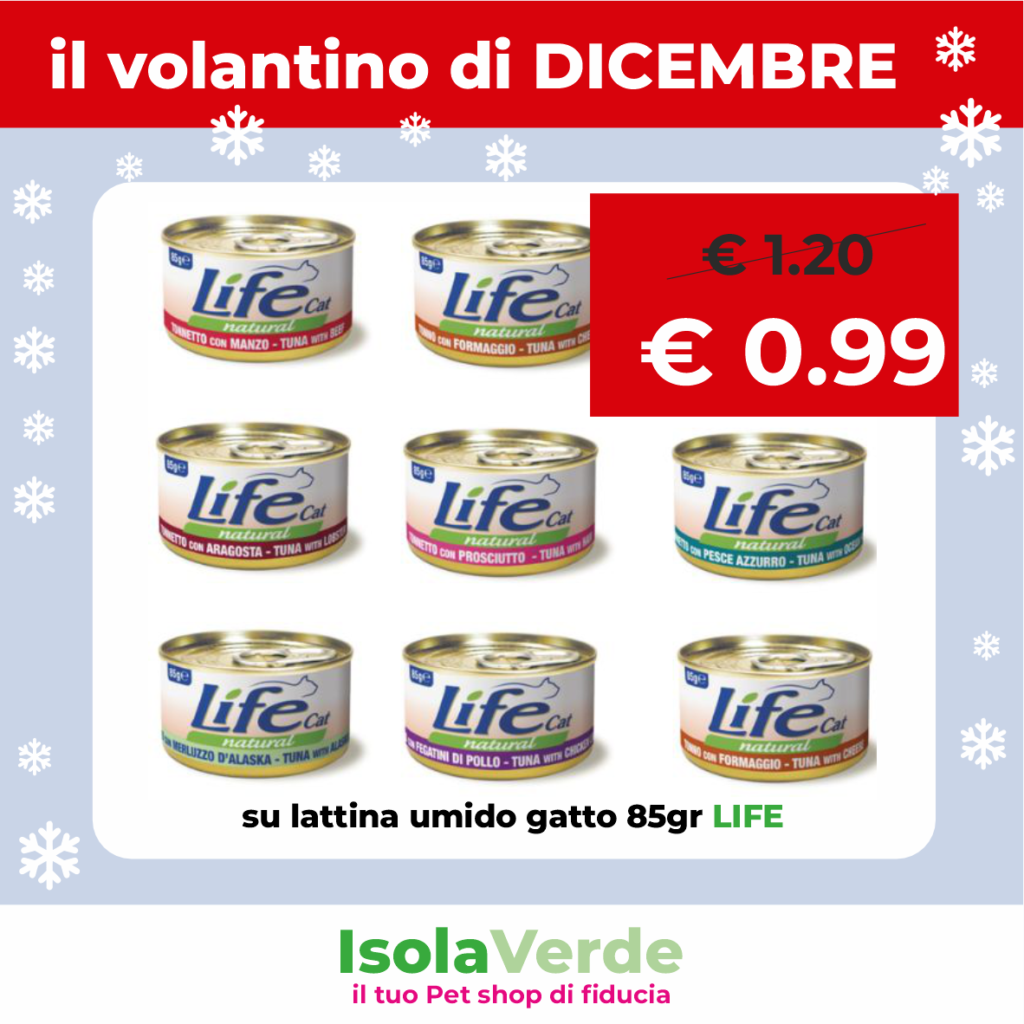 VOLANTINO DICEMBRE_7