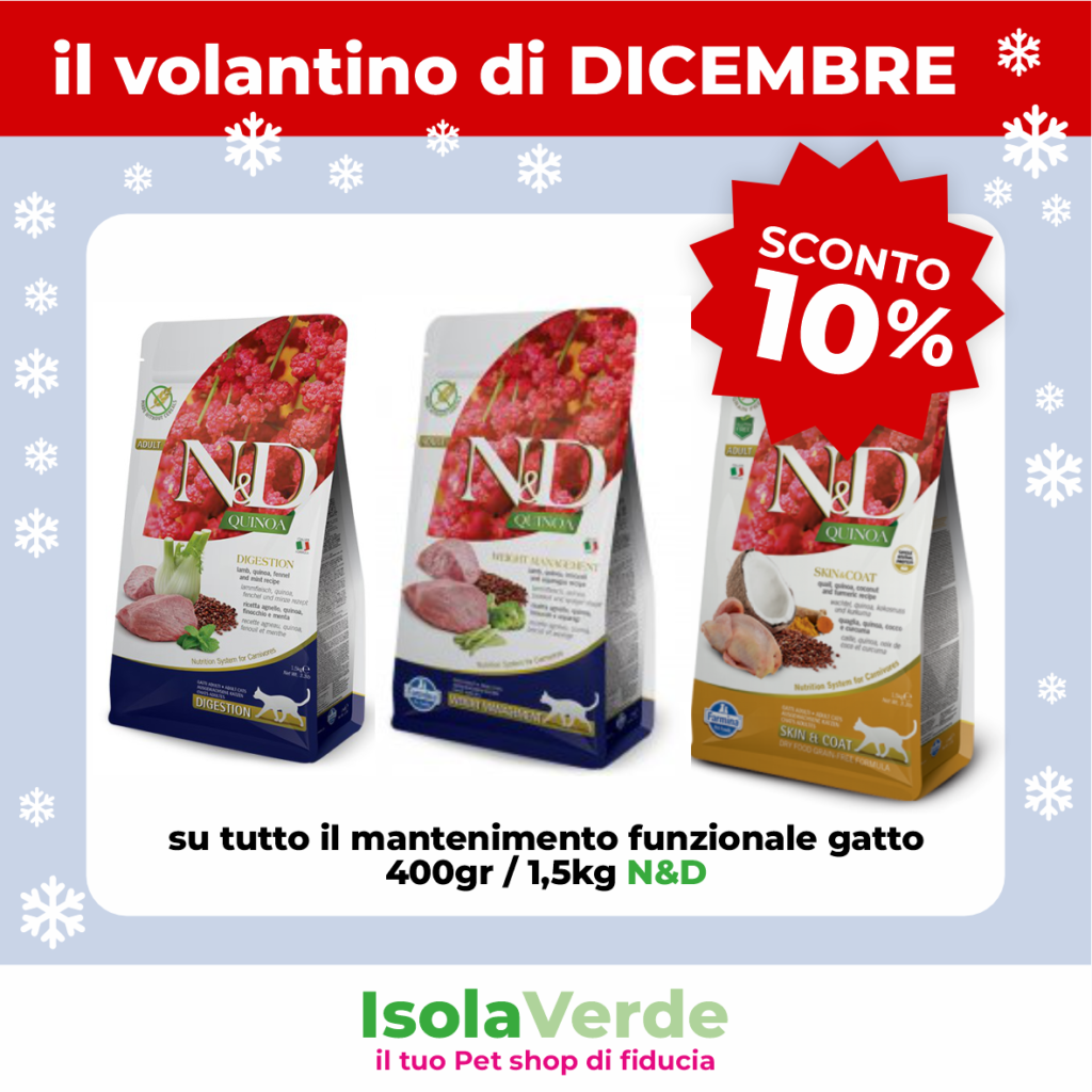 VOLANTINO DICEMBRE_9